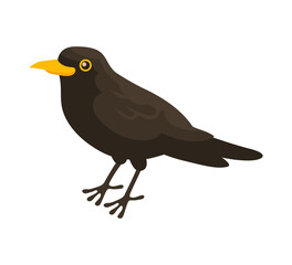 Obraz premium Common Blackbird Isometric Composition