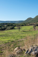 Fototapeta na wymiar Matarranya, Teruel province. Spain