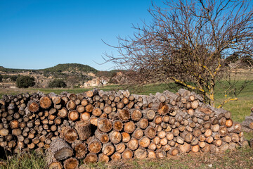 Torres de Arca village. Teruel province