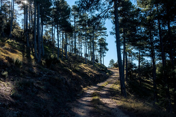 Los Ports Natural Park
