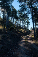 Los Ports Natural Park