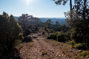Los Ports Natural Park