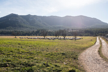 Matarranya, Teruel province. Spain