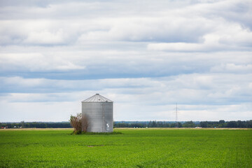 Fototapeta na wymiar One steel grain bin in a green agricultural field in a countryside summer landscape