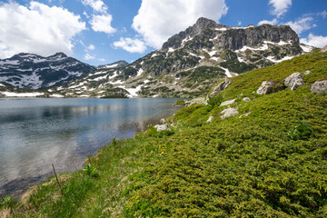 Summer Landscape of Pirin Mountain near Popovo Lake, Bulgaria