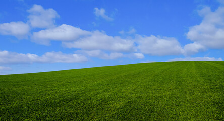 Green grass and blue sky with white clouds