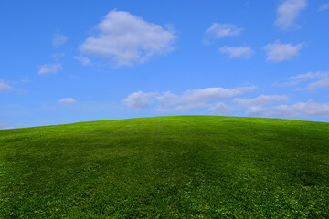 Green grass and blue sky with white clouds