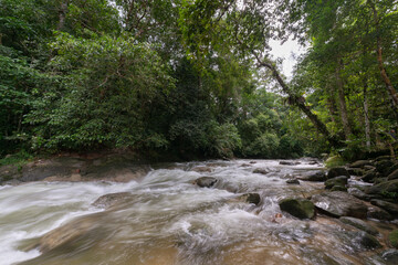 Fototapeta premium Beautiful water fall cascade at Malaysia forest