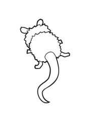Rückseite Opossum Cartoon 