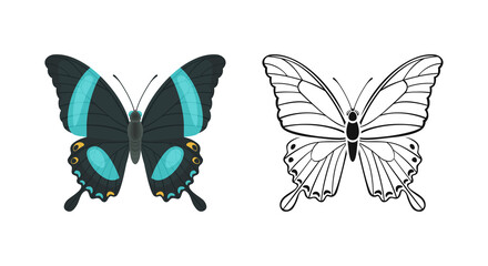 Beautiful Butterfly set. Vector cartoon flat illustration and outline silhouette. Tropical insect Papilio palinurus.
