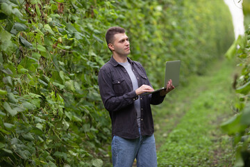 An agronomist engineer estimates the future harvest of green beans