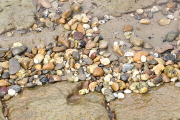 Nasse Kieselsteine am Flussufer