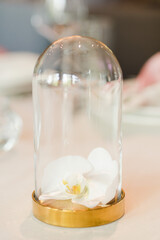 Coziness and style. Modern event design. Table setting at wedding reception. Floral compositions with beautiful flowers and greenery, candles, laying and plates on decorated table.