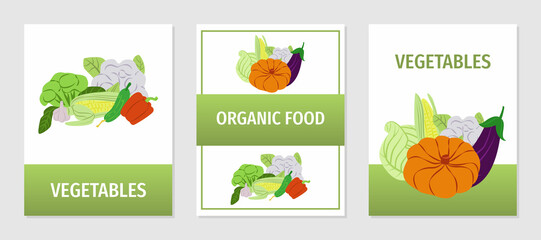 A set of banner designs with fresh farm vegetables. Vector illustration, leaflet, leaflet, poster.