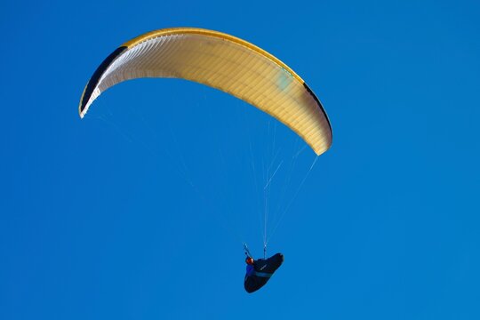 yellow and blue freedom parashute in the sky 
