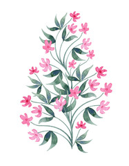 Botanical clipart hand-drawn in watercolor, isolated detailed realistic on a white background. Watercolor cute pink wildflowers.