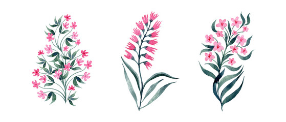 Fototapeta na wymiar Botanical clipart of wild flowers, hand-painted in watercolor, isolated detailed realistic on a white background. A delicate bouquet. Watercolor cute pink wildflowers.