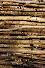 legna ardere tronchi