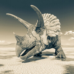 Fototapeta premium triceratops on the desert after rain