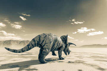 triceratops on the desert walking after rain rear view © DM7