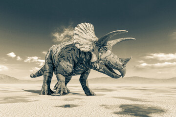 triceratops on the desert walking after rain side view © DM7