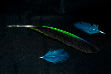 fotografía de plumas multicolor, composición y diseño