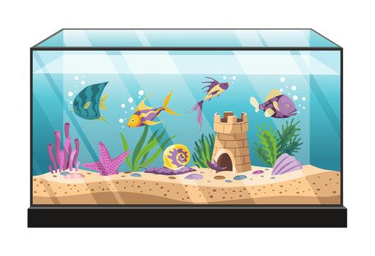 Aquarium with colourful fish and algae. Underwater life wtith decorative accessories and deferent fishes in flat style. Decoration of home interior. Beautiful glass aquarium with shells, sand bubbles