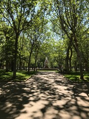 Fountain through shadowed trees II