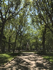 Obraz premium Fountain through shadowed trees I