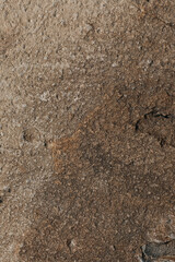 stone texture
gray stone
background