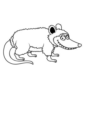 Opossum Comic Design 