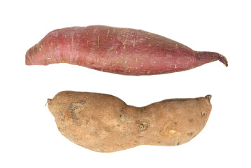 The sweet orange and red potato tubers 