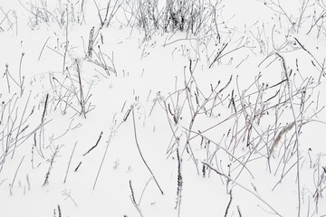 Field covered by snow