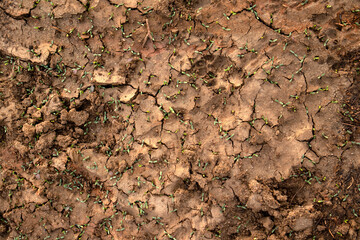 Dry Cracked Soil Texture Background