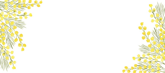 Watercolor hand drawn banner with spring tender flowers frame - yellow mimosa on the white background. For textile, wallpaper, wrapping paper, march, easter, card, linen.