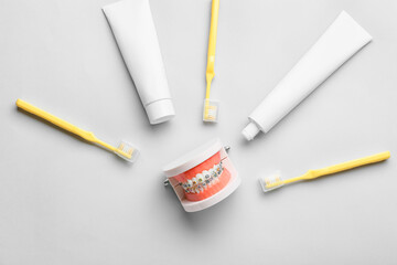 Model of jaw with dental braces, tooth brushes and paste on light background