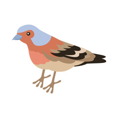 Sparrow Bird Isometric Composition