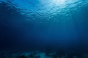 Fotobehang underwater view of the world © Pavel Karchevskii