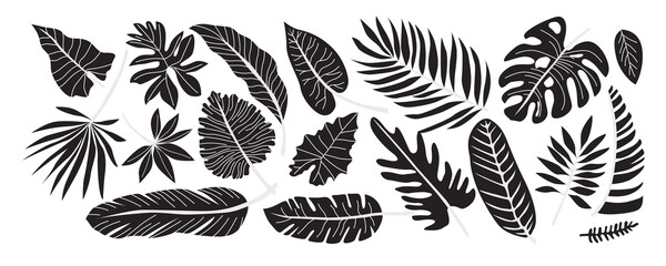 Set of various tropical palm leaves. Black silhouettes of tropical plants. Monstera and palm jungle leaves, exotic foliage, decorative natural plant collection. Hand drawn vector flat illustration - obrazy, fototapety, plakaty