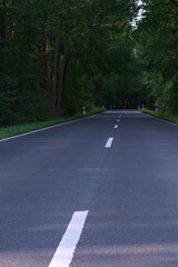 high-speed asphalt road with a white dividing strip goes through a mixed forest, green trees on the sides, concept of travel by car, trip to nature