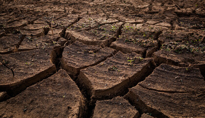 Dry Cracked Soil Texture Background