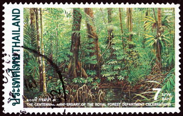Postage stamp Thailand 1996 swamp, a forested wetland