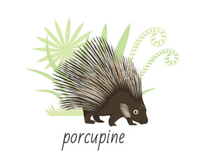 Animal porcupine isolated on white background. Tropical plants. Vector flat illustration