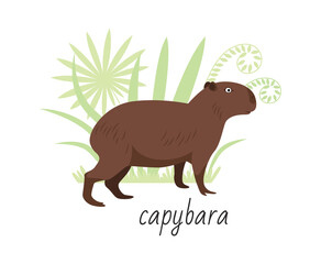 Capybara animal isolated on white background. Tropical plants. Vector flat illustration