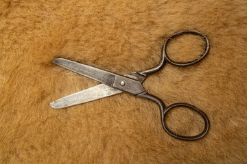 vintage scissor on wool texture