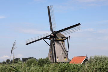 Fototapeta premium Kinderdijk - Windmühlen - Niederlande