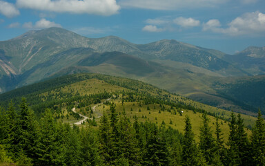 Fototapeta premium Drone view of Parangul Mare Peak and its spruce forests surrounding it. Clouds are casting their shadows on the alpine pasture.