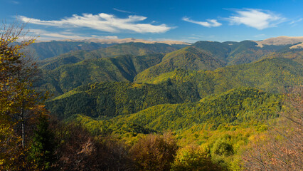 Panoramic view above the old beech forests growing at the feet of Capatanii Mountains. Autumn Season, Carpathia, Romania.
