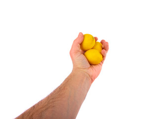 Lemons in the human hand. Isolated over white background.