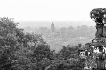 Angkor wat Forest View